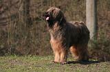 BRIARD 053